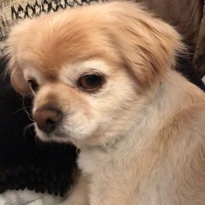 Meet your Posher, Enrique